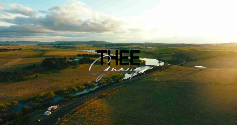 THEE Group company profile